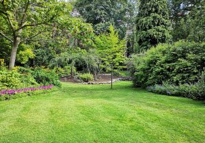 Optimiser l'expérience du jardin à La Chapelle-sur-Oudon